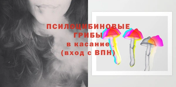 прущая мука Армянск