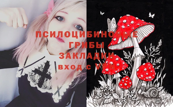 прущая мука Армянск